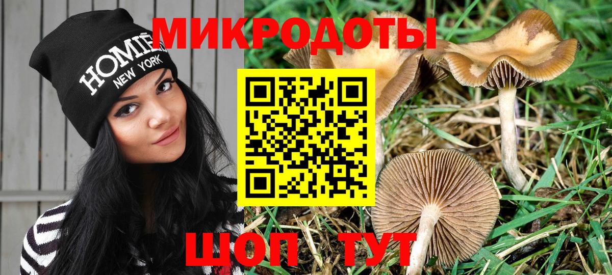 Псилоцибиновые грибы GOLDEN TEACHER  Вход с VPN  Бирск 